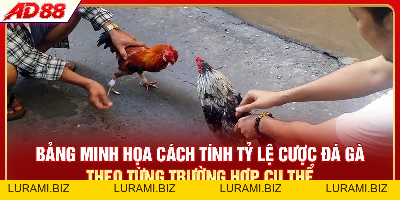 Tỷ Lệ Cược Đá Gà - Cách Tính Chuẩn Xác Cho Hội Viên AD88 - LURAMI.BIZ
