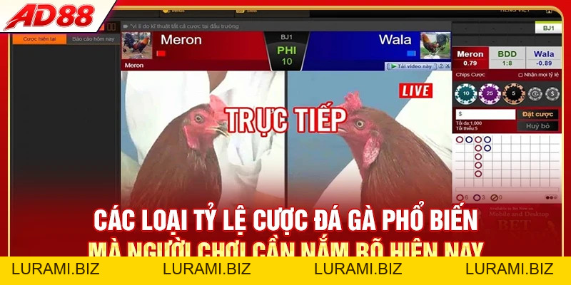 Tỷ Lệ Cược Đá Gà - Cách Tính Chuẩn Xác Cho Hội Viên AD88 - LURAMI.BIZ