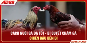 Tin Tức AD88 – Cập Nhật Tin Game, Tin Giải Trí Mới Nhất - LURAMI.BIZ