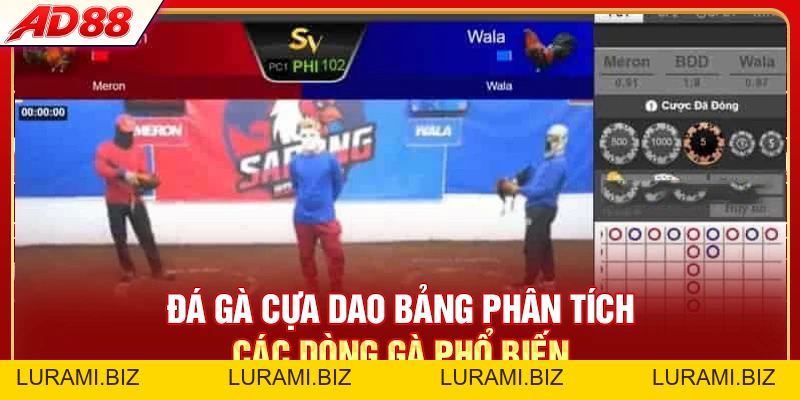 Đá Gà Cựa Dao - Luật Chơi Và 4 Dòng Gà Chiến Hay Nhất - LURAMI.BIZ