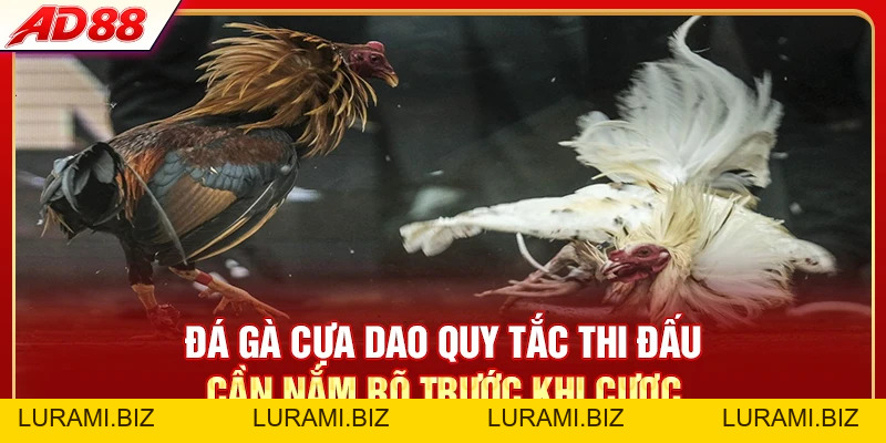 Đá Gà Cựa Dao - Luật Chơi Và 4 Dòng Gà Chiến Hay Nhất - LURAMI.BIZ