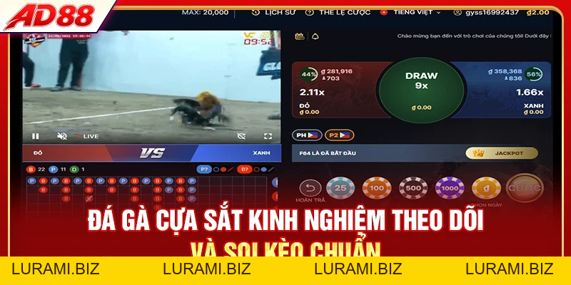 Đá Gà Cựa Sắt - So Sánh 3 Hình Thức Hot Top 1 Hiện Nay - LURAMI.BIZ