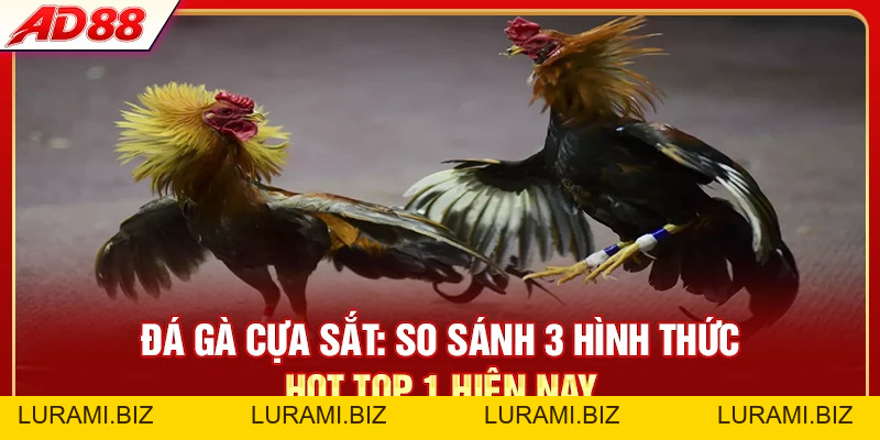 Đá Gà Cựa Sắt - So Sánh 3 Hình Thức Hot Top 1 Hiện Nay - LURAMI.BIZ