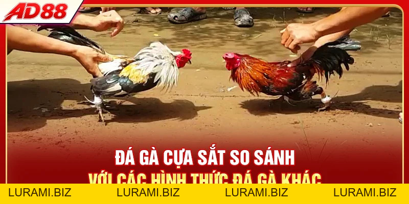 Đá Gà Cựa Sắt - So Sánh 3 Hình Thức Hot Top 1 Hiện Nay - LURAMI.BIZ