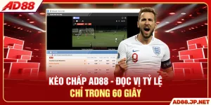 Thể Thao AD88 - 3 Nhà Cung Cấp Odds Hàng Triệu Kèo - LURAMI.BIZ