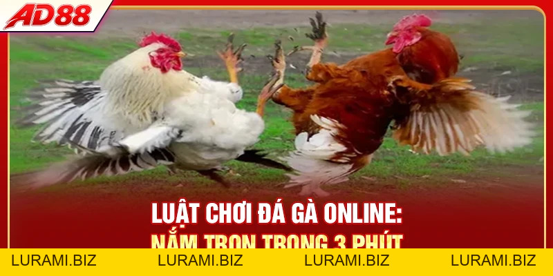 Luật Chơi Đá Gà Online - Nắm Trọn Trong 3 Phút - LURAMI.BIZ