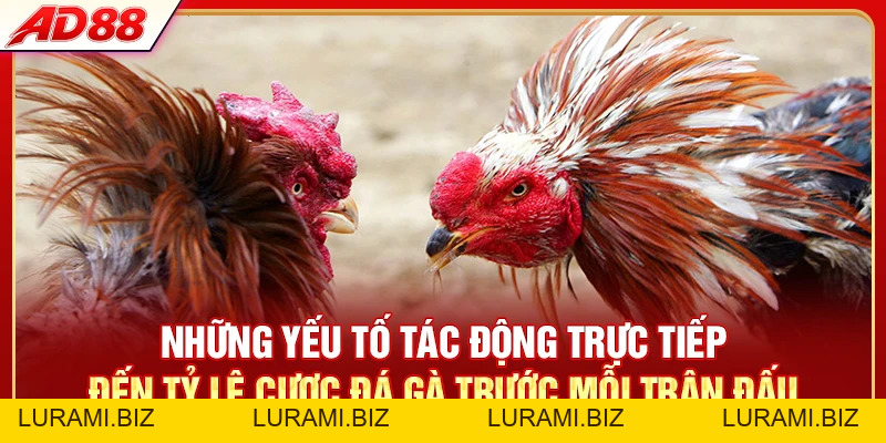 Tỷ Lệ Cược Đá Gà - Cách Tính Chuẩn Xác Cho Hội Viên AD88 - LURAMI.BIZ