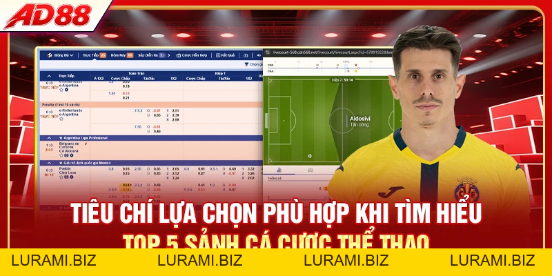 Top 5 Sảnh Cá Cược Thể Thao Uy Tín - Nhận Kèo Thơm 24/7 - LURAMI.BIZ