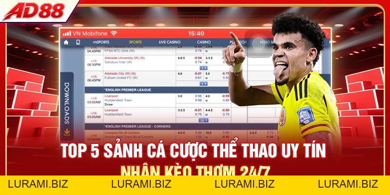 Top 5 Sảnh Cá Cược Thể Thao Uy Tín - Nhận Kèo Thơm 24/7 - LURAMI.BIZ