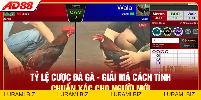Tỷ Lệ Cược Đá Gà - Cách Tính Chuẩn Xác Cho Hội Viên AD88 - LURAMI.BIZ