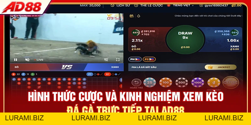 Đá Gà AD88 - Xem Live Và Cược Trực Tiếp 24/7 Từ Philippines - LURAMI.BIZ