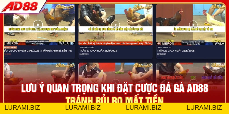 Đá Gà AD88 - Xem Live Và Cược Trực Tiếp 24/7 Từ Philippines - LURAMI.BIZ