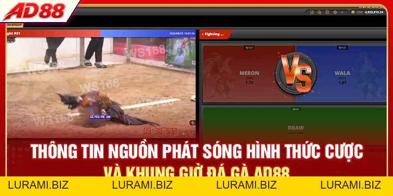 Đá Gà AD88 - Xem Live Và Cược Trực Tiếp 24/7 Từ Philippines - LURAMI.BIZ