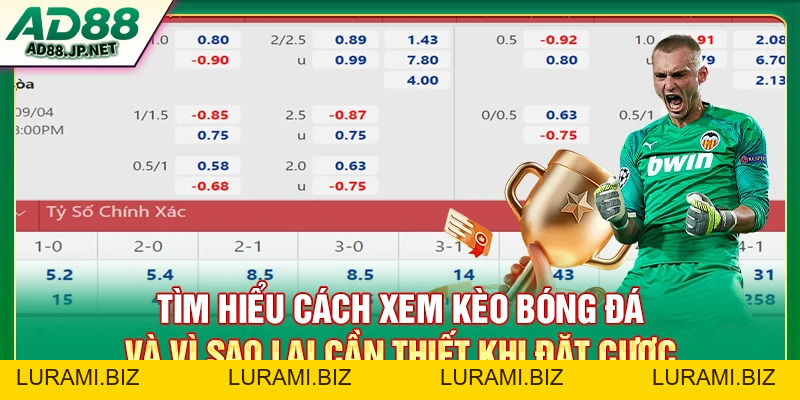 Cách Xem Kèo Bóng Đá - Hướng Dẫn Cho Newbie Và Cao Thủ - LURAMI.BIZ